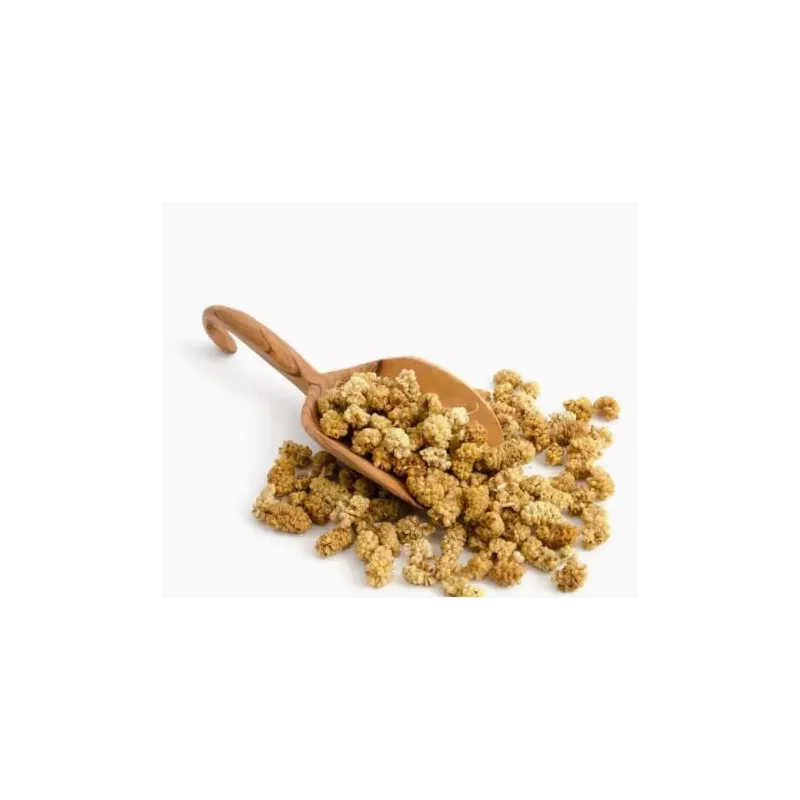 Organic & Fair Dried White Mulberries from Uzbekistan