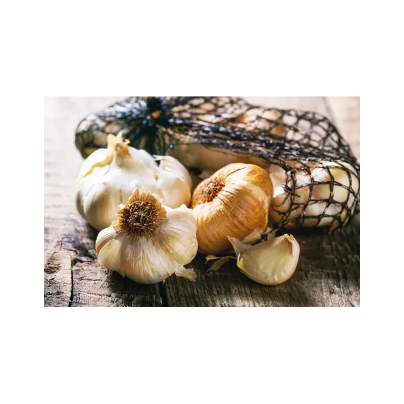 Smoked Garlic PGI from Arleux - Direct Producer