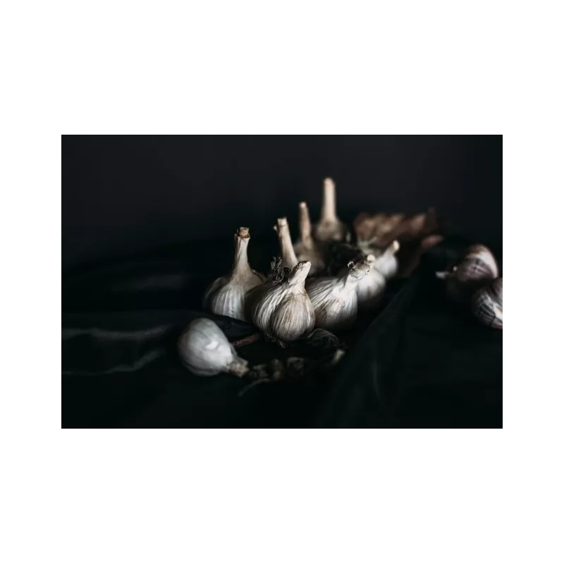 Smoked Garlic PGI from Arleux - Direct Producer