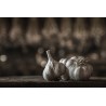 Smoked Garlic PGI from Arleux - Direct Producer