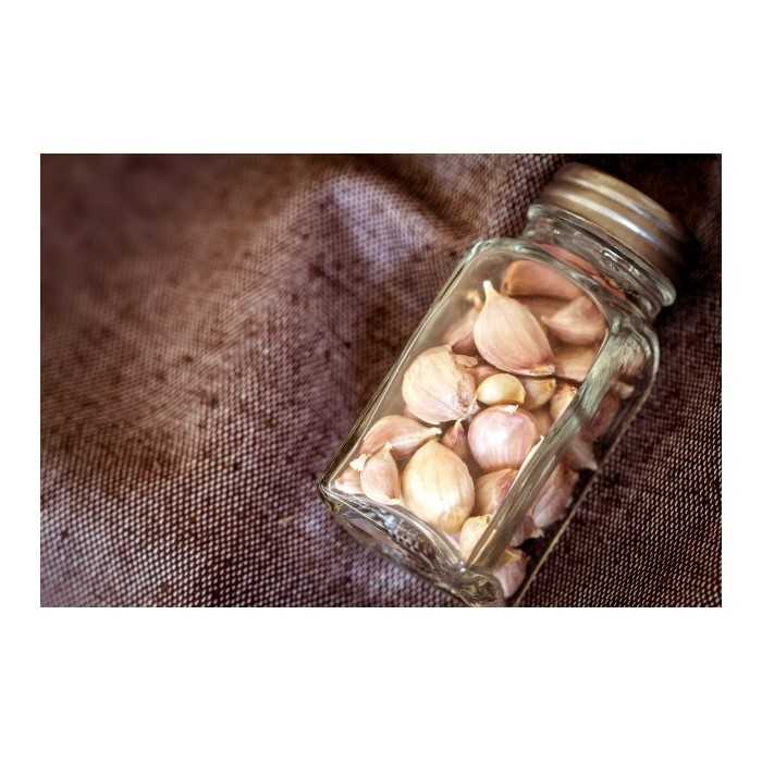 Organic smoked garlic from France