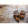 Organic smoked garlic from France