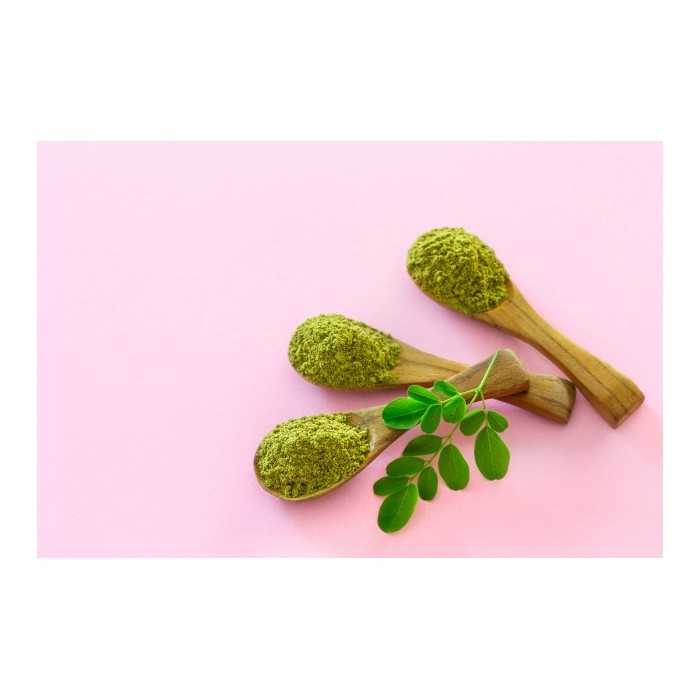 Natural & fair trade Moringa leaf powder from Haiti - Direct Producer