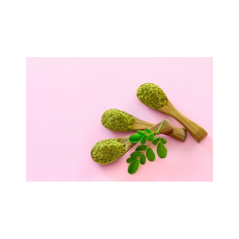Natural & fair trade Moringa leaf powder from Haiti - Direct Producer