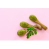 Natural & fair trade Moringa leaf powder from Haiti - Direct Producer