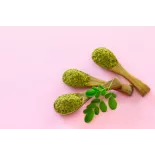 Natural & fair trade Moringa leaf powder from Haiti - Direct Producer