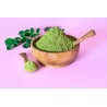 Natural & fair trade Moringa leaf powder from Haiti - Direct Producer