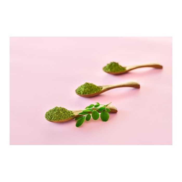 Natural & fair trade Moringa leaf powder from Haiti - Direct Producer