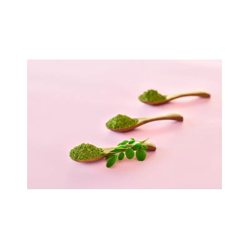 Natural & fair trade Moringa leaf powder from Haiti - Direct Producer