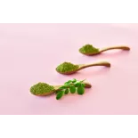 Natural & fair trade Moringa leaf powder from Haiti - Direct Producer