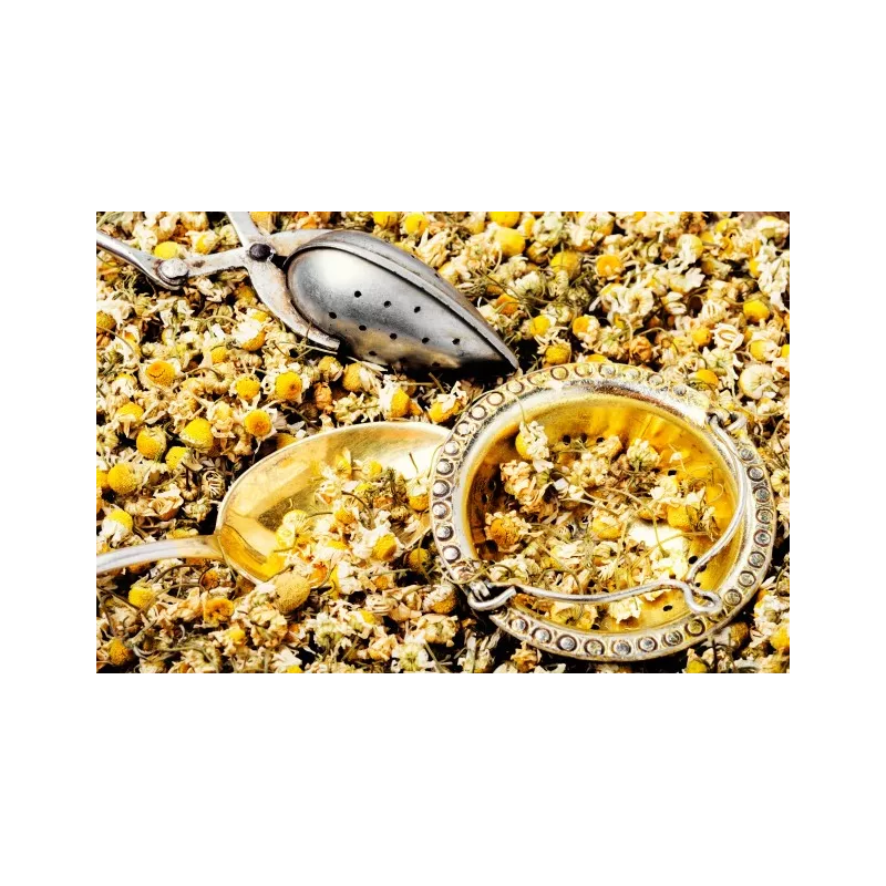 Organic Dried German Chamomile Flowers From France - Direct producer
