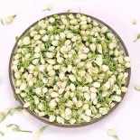 Organic dried jasmine flower buds from Morocco - Direct producer