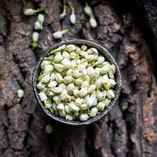 Boutons de fleurs de jasmin séchés bio du Maroc - Direct producteur