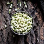 Organic dried jasmine flower buds from Morocco - Direct producer