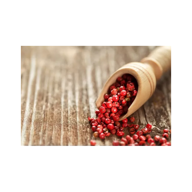Poivre rouge bio fairtrade IGP de Kampot - direct producteur