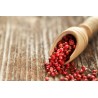 Organic fairtrade red pepper PGI from Kampot - direct producer