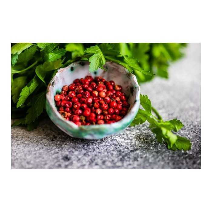 Organic fairtrade red pepper PGI from Kampot - direct producer