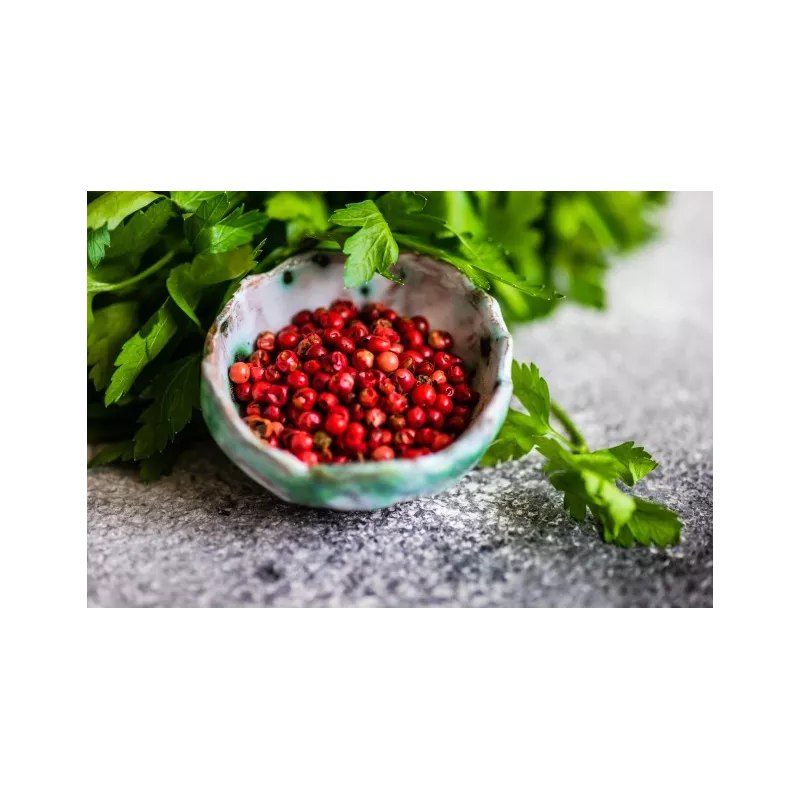 Organic fairtrade red pepper PGI from Kampot - direct producer
