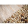 Organic fairtrade white pepper PGI from Kampot - direct producer