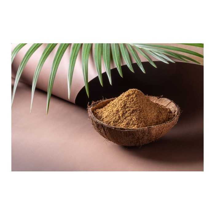 Organic & fair trade coconut blossom sugar from Indonesia