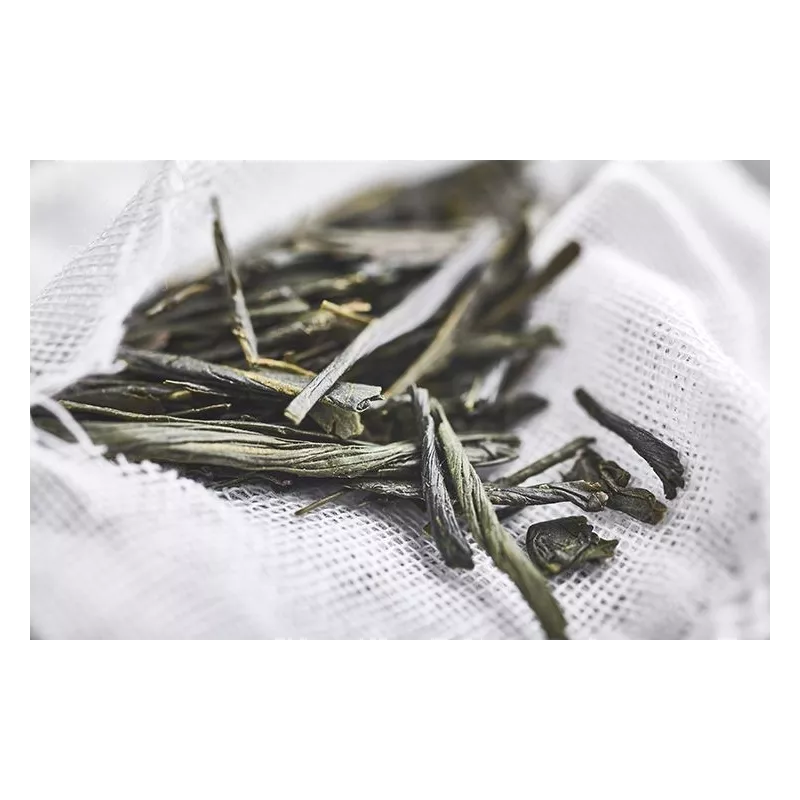Thé Vert IGP Darjeeling De l'Himalaya bio et fair trade Premium