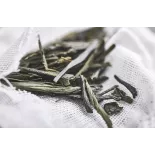 Thé Vert IGP Darjeeling De l'Himalaya bio et fair trade Premium
