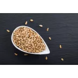 Organic raw peeled EPV sunflower seed from France - Direct artisan