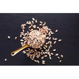 Organic raw peeled EPV sunflower seed from France - Direct artisan
