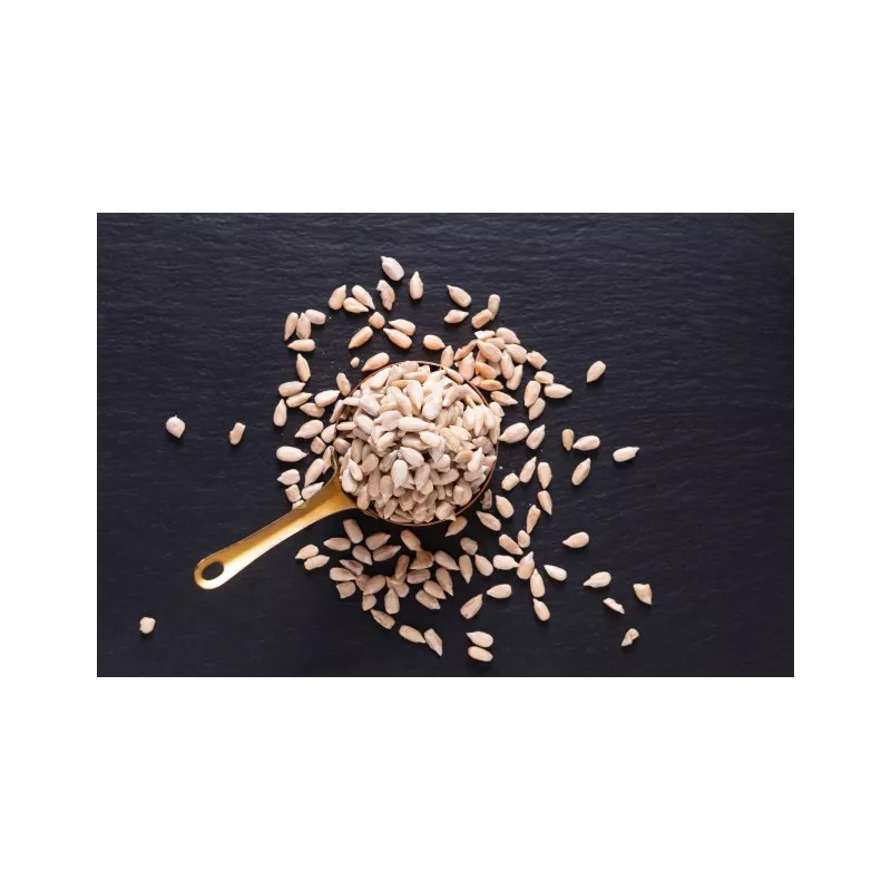 Organic raw peeled EPV sunflower seed from France - Direct artisan Organic raw peeled EPV sunflower seed from France - Direct artisan