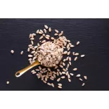 Organic raw peeled EPV sunflower seed from France - Direct artisan