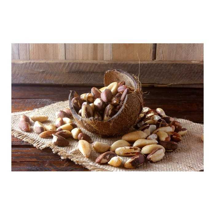 Organic & fair trade Brazil nuts whole wild & raw from Bolivia