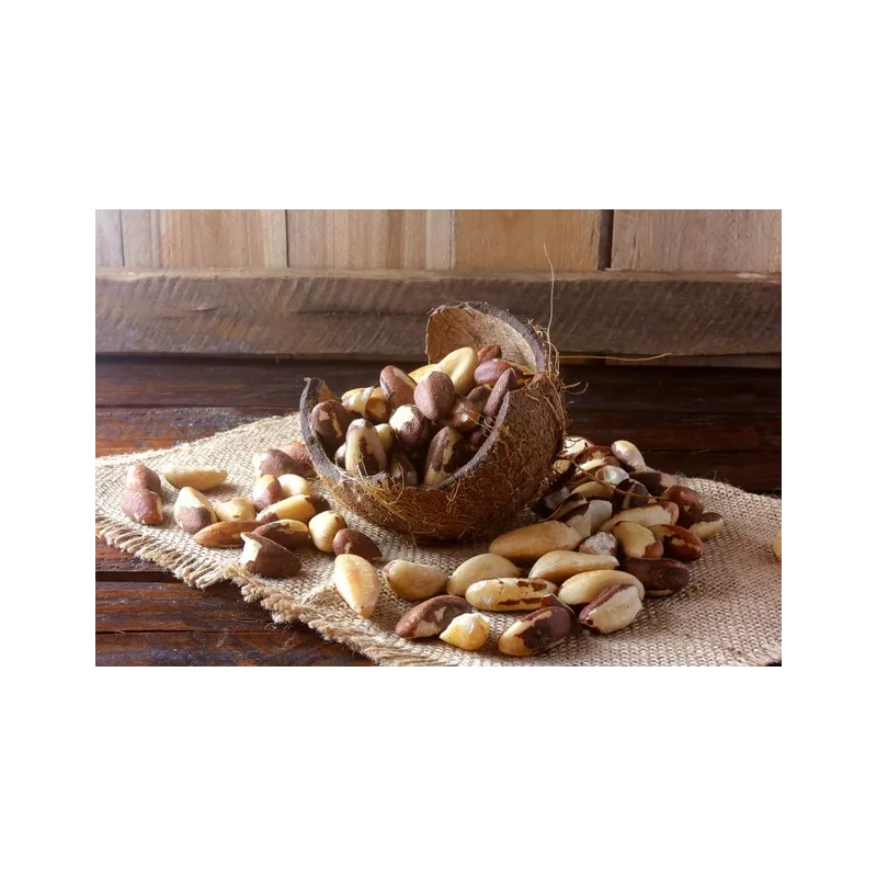Organic & fair trade Brazil nuts whole wild & raw from Bolivia