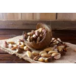 Organic & fair trade Brazil nuts whole wild & raw from Bolivia
