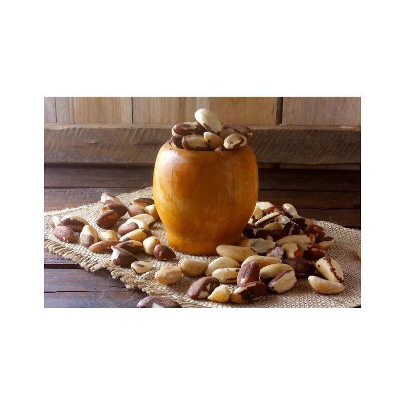 Organic & fair trade Brazil nuts whole wild & raw from Bolivia