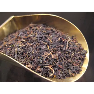 Thé Noir IGP Darjeeling Bio & fairtrade De l'Himalaya
