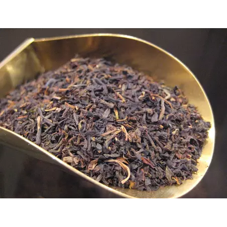 Organic & fairtrade black tea PGI Darjeeling from Himalayan