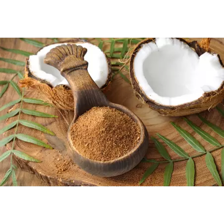 Organic & fair trade coconut blossom sugar from Indonesia