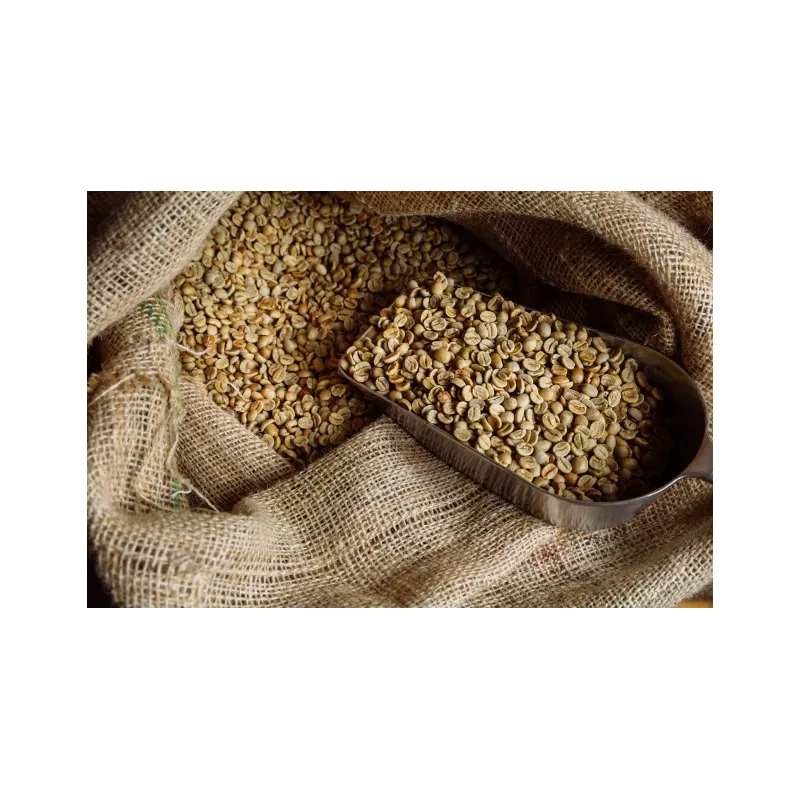 Café vert naturel & fairtrade en grain d'Haïti Premium - Direct pro...