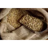 Café vert naturel & fairtrade en grain d'Haïti Premium - Direct pro...