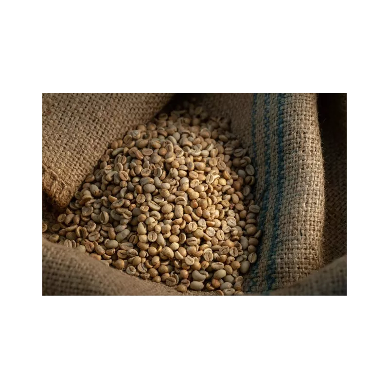 Café vert naturel & fairtrade en grain d'Haïti Premium - Direct pro...