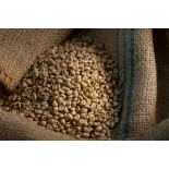 Café vert naturel & fairtrade en grain d'Haïti Premium - Direct pro...