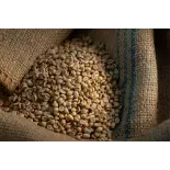 Natural & fairtrade green coffee beans from Haiti Premium - Direct ... Natural & fairtrade green coffee beans from Haiti Premium - Direct ...