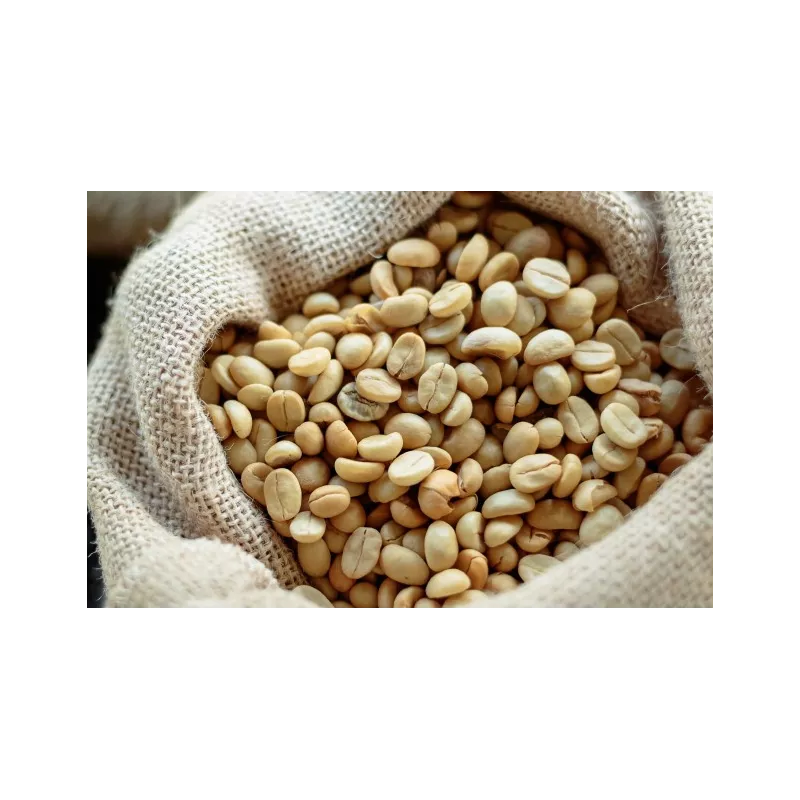 Café vert naturel & fairtrade en grain d'Haïti Premium - Direct pro...