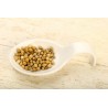 Organic fairtrade green pepper PGI from Kampot - direct producer