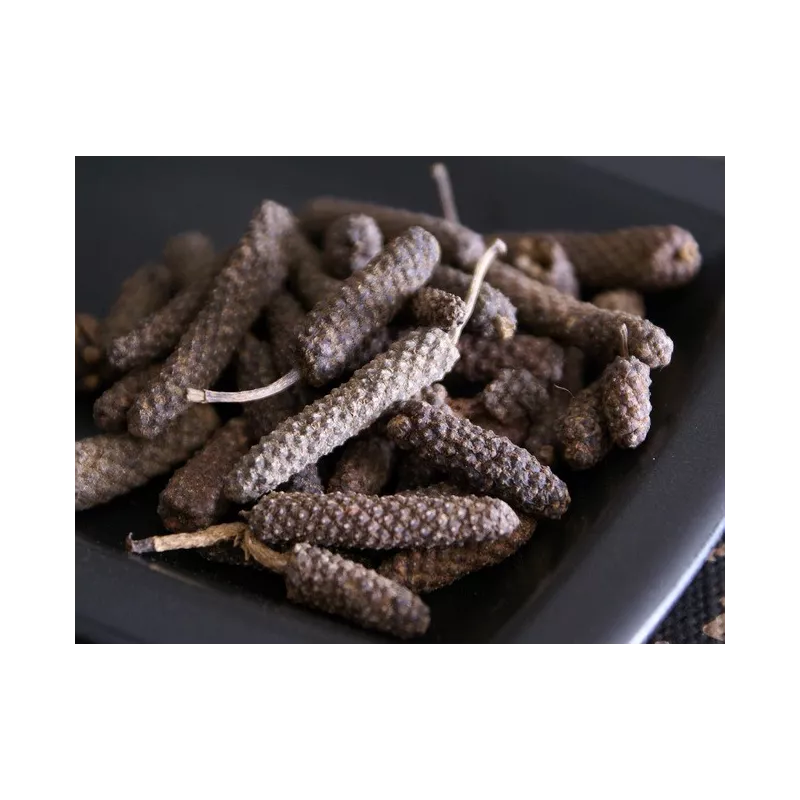 Organic fairtrade black piper longum PGI from Kampot - direct producer