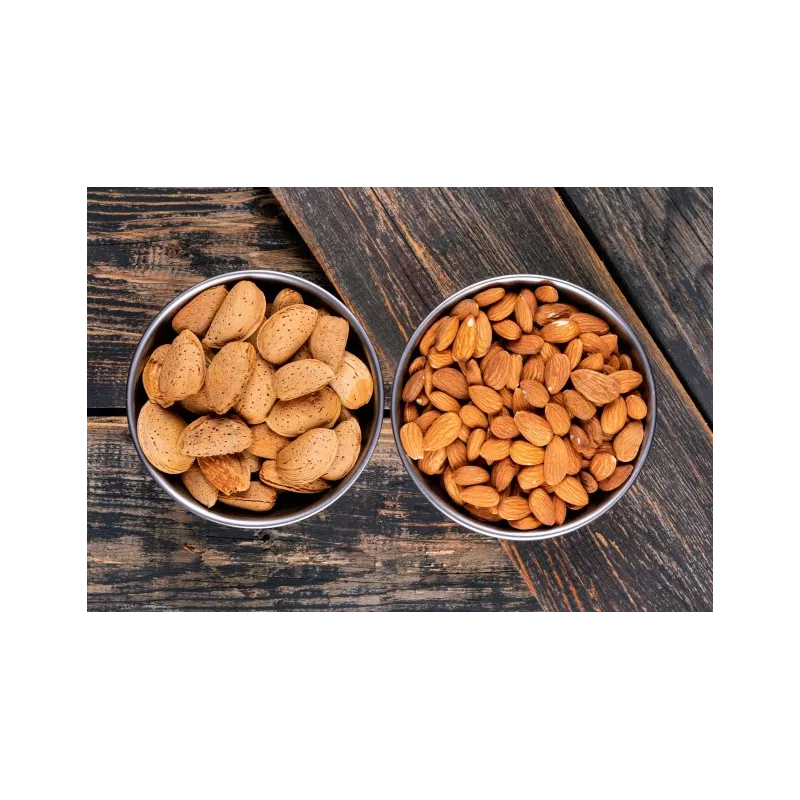 Amandes bio en coque de Provence - direct producteur