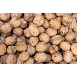 Cerneaux De Noix Bio en coque AOC AOP Du Périgord - direct producteur