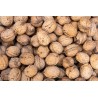 Organic Walnut Kernels in shell PDO From Perigord - direct producer