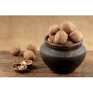 Organic Walnut Kernels in shell PDO From Perigord - direct producer