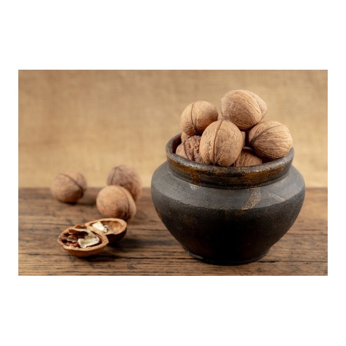 Cerneaux de noix : noix déjà décortiquées